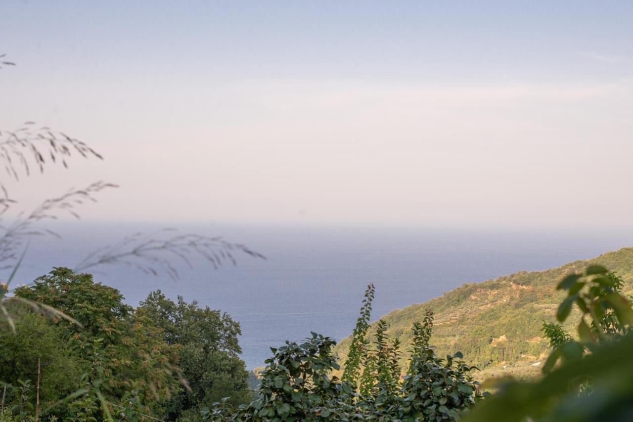 Zoes House Villa Makrirrákhi Екстериор снимка