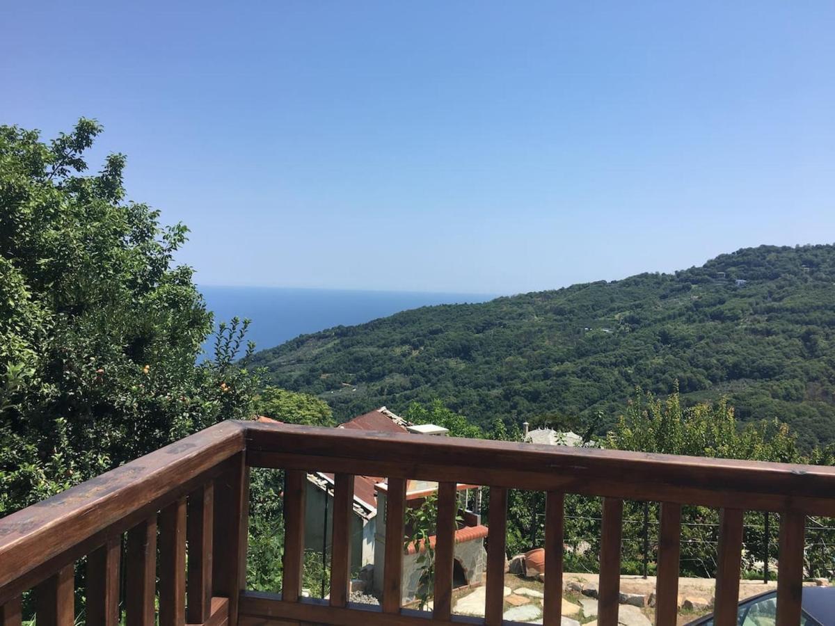 Zoes House Villa Makrirrákhi Екстериор снимка